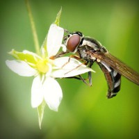 /album/wonder2-webnode-jp/photolia-a02-jpg/