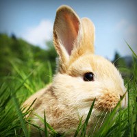 /album/wonder2-webnode-jp/photolia-a03-jpg/