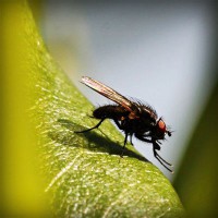 /album/wonder2-webnode-jp/photolia-a04-jpg/