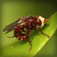 /album/wonder2-webnode-jp/photolia-a06-jpg/