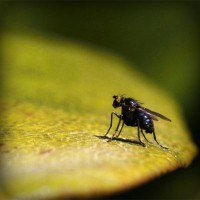 /album/wonder2-webnode-jp/photolia-a07-jpg/