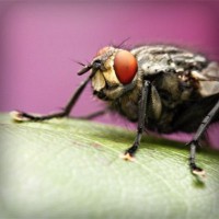 /album/wonder2-webnode-jp/photolia-a08-jpg/